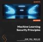 Machine Learning Security Principles - Preview