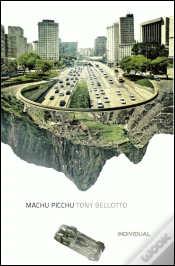 Capa do artigo Machu Picchu