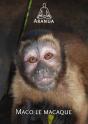 Maco Le Macaque - Preview