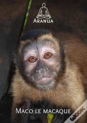 Capa do artigo Maco Le Macaque