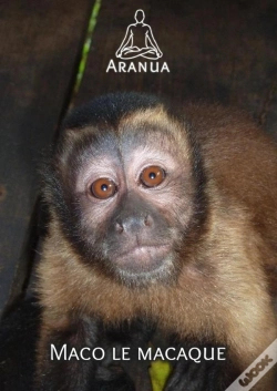 Capa do artigo Maco Le Macaque