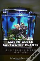 Macro Algae Saltwater Plants