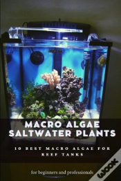 Capa do artigo Macro Algae Saltwater Plants
