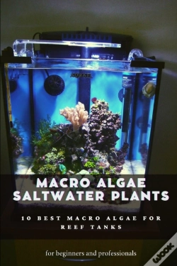 Capa do artigo Macro Algae Saltwater Plants