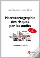 Macrocartographie Des Risques Par Les Audits