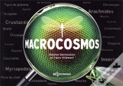 Capa do artigo Macrocosmos