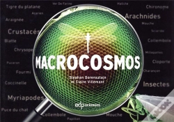 Capa do artigo Macrocosmos