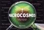 Macrocosmos - Preview