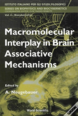 Capa do artigo Macromolecular Interplay In Brain Associative Mechanisms
