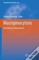 Macropinocytosis