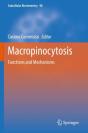 Macropinocytosis - Preview