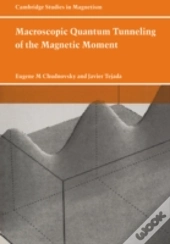 Macroscopic Quantum Tunneling Of The Magnetic Moment