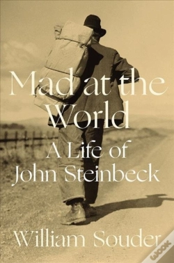 Capa do artigo Mad At The World