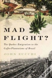 Capa do artigo Mad Flight?