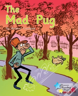 Capa do artigo Mad Pug