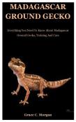 Madagascar Ground Gecko