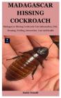 Madagascar Hissing Cockroach - Preview