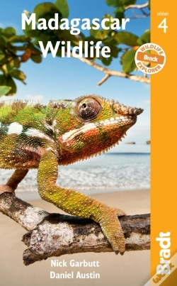 Capa do artigo Madagascar Wildlife