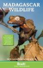 Madagascar Wildlife - Preview
