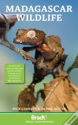 Capa do artigo Madagascar Wildlife