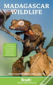 Capa do artigo Madagascar Wildlife
