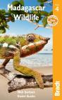 Madagascar Wildlife - Preview