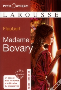 Capa do artigo Madame Bovary Edition 2011