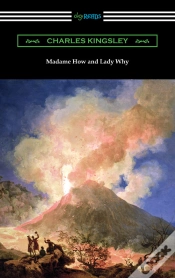 Capa do artigo Madame How And Lady Why