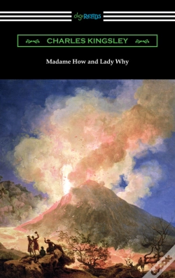 Capa do artigo Madame How And Lady Why
