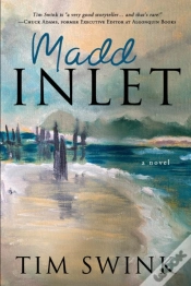Capa do artigo Madd Inlet