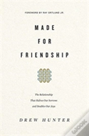 Capa do artigo Made For Friendship
