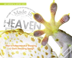 Capa do artigo Made In Heaven