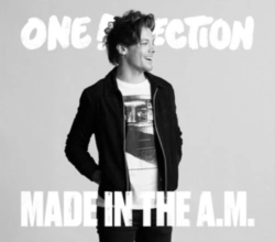 Capa do artigo Made in the A.M. (Louis) - CD