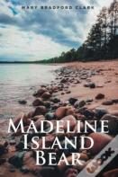 Madeline Island Bear
