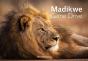 Madikwe Game Drive - Preview