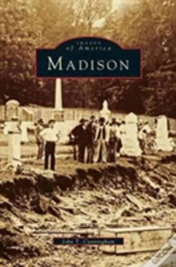 Capa do artigo Madison