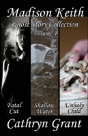 Madison Keith Ghost Story Collection- Volume 1 (Suburban Noir Ghost Stories) - Preview