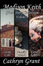 Madison Keith Ghost Story Collection - Volume 2 (Suburban Noir Ghost Stories) - Preview