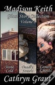 Capa do artigo Madison Keith Ghost Story Collection - Volume 2 (Suburban Noir Ghost Stories)