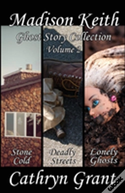 Capa do artigo Madison Keith Ghost Story Collection - Volume 2 (Suburban Noir Ghost Stories)