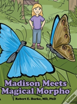 Capa do artigo Madison Meets Magical Morpho