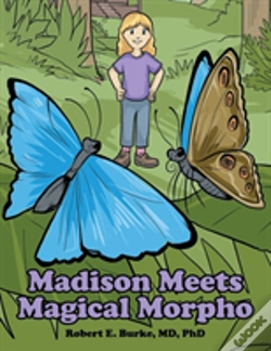 Capa do artigo Madison Meets Magical Morpho