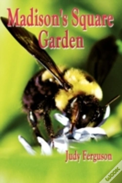 Capa do artigo Madison'S Square Garden