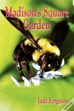 Capa do artigo Madison'S Square Garden