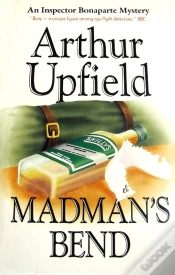 Capa do artigo Madman
