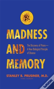 Capa do artigo Madness And Memory