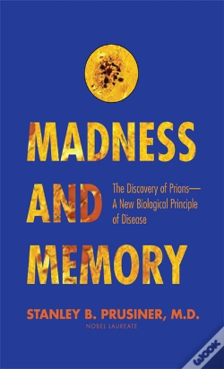 Capa do artigo Madness And Memory