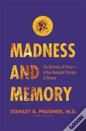 Capa do artigo Madness And Memory