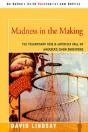 Madness In The Making - Preview