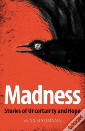 Capa do artigo Madness